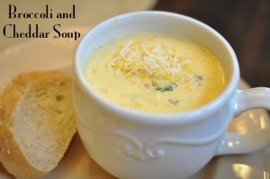Broccoli and Cheddar Soup